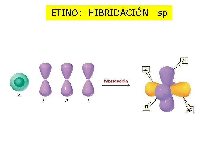 ETINO: HIBRIDACIÓN sp 