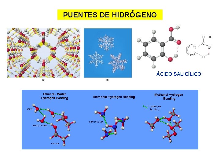 PUENTES DE HIDRÓGENO ÁCIDO SALICÍLICO 
