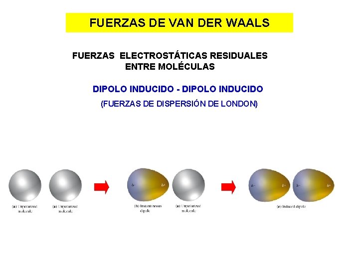 FUERZAS DE VAN DER WAALS FUERZAS ELECTROSTÁTICAS RESIDUALES ENTRE MOLÉCULAS DIPOLO INDUCIDO - DIPOLO