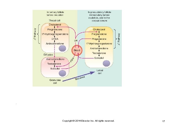 . Copyright © 2014 Elsevier Inc. All rights reserved. 17 
