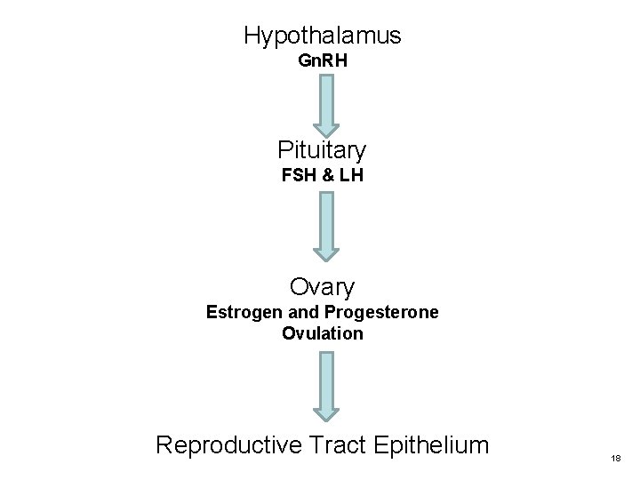 Hypothalamus Gn. RH Pituitary FSH & LH Ovary Estrogen and Progesterone Ovulation Reproductive Tract