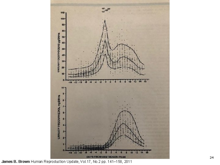24 James B. Brown Human Reproduction Update, Vol. 17, No. 2 pp. 141– 158,