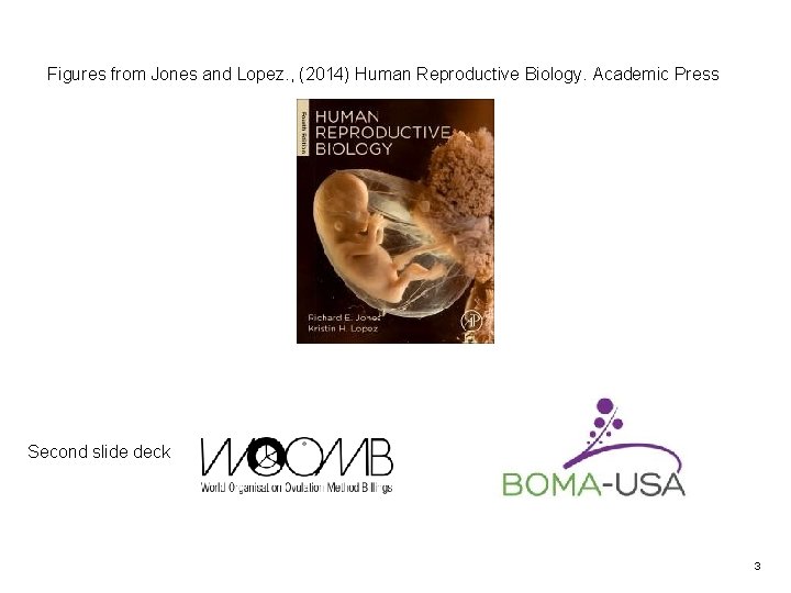 Figures from Jones and Lopez. , (2014) Human Reproductive Biology. Academic Press Second slide