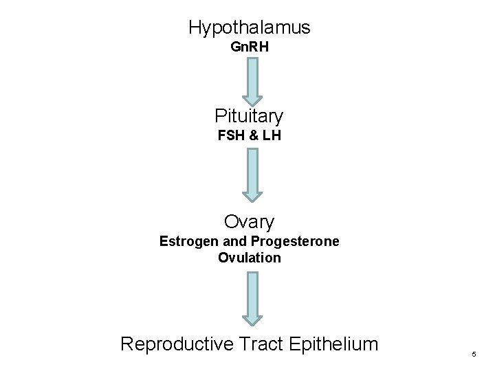 Hypothalamus Gn. RH Pituitary FSH & LH Ovary Estrogen and Progesterone Ovulation Reproductive Tract