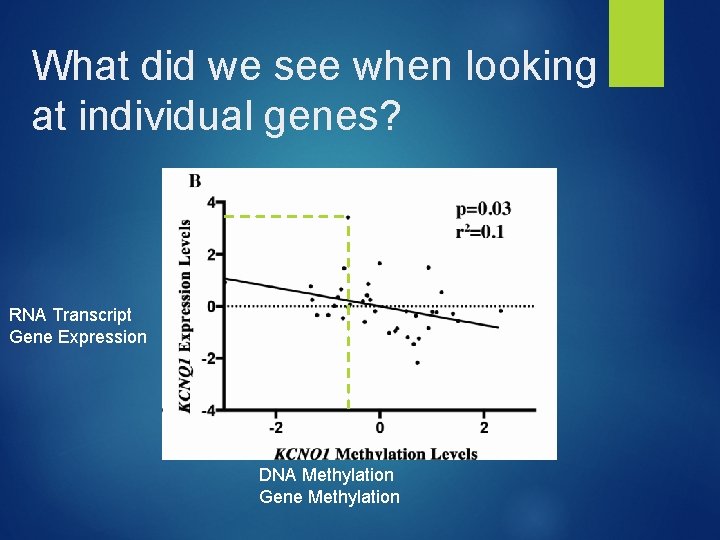 What did we see when looking at individual genes? RNA Transcript Gene Expression DNA