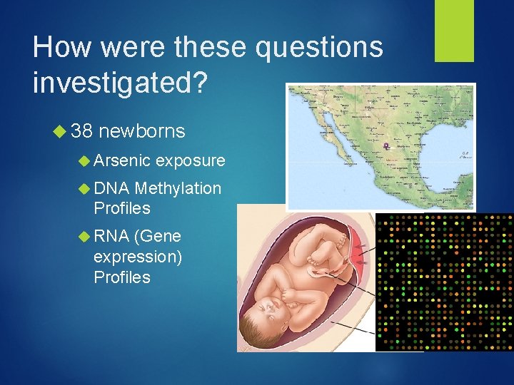 How were these questions investigated? 38 newborns Arsenic exposure DNA Methylation Profiles RNA (Gene