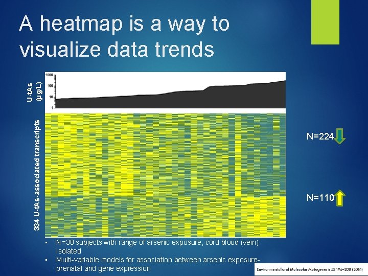 334 U-t. As-associated transcripts U-t. As (µg/L) A heatmap is a way to visualize