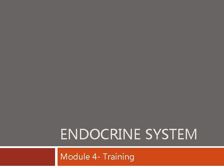 ENDOCRINE SYSTEM Module 4 - Training 