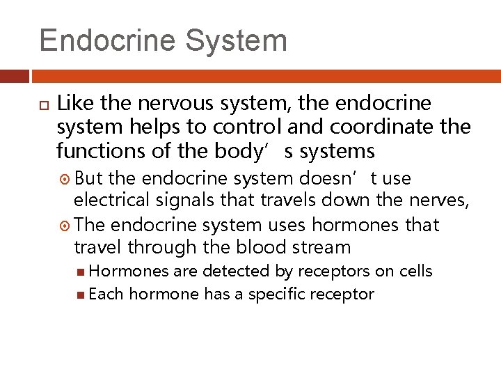Endocrine System Like the nervous system, the endocrine system helps to control and coordinate