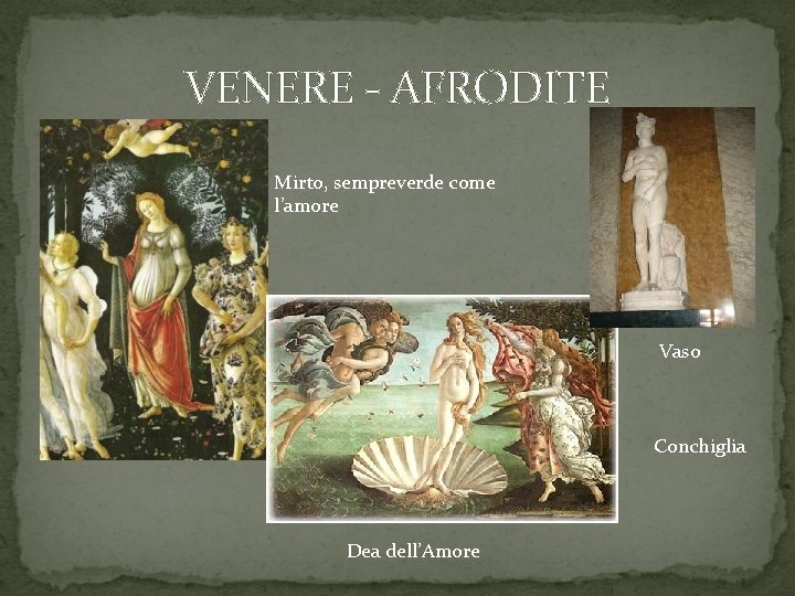 VENERE - AFRODITE Mirto, sempreverde come l’amore Vaso Conchiglia Dea dell’Amore 