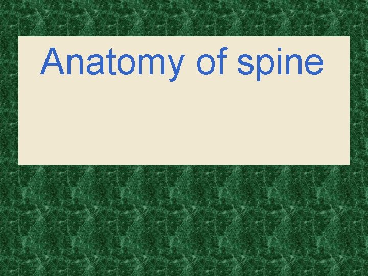 . Anatomy of spine 