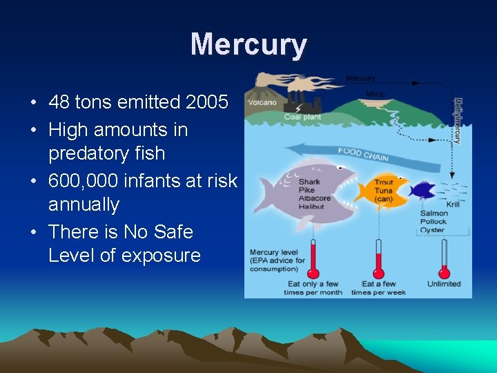 Mercury • 48 tons emitted 2005 • High amounts in predatory fish • 600, Mercury • 48 tons emitted 2005 • High amounts in predatory fish • 600,