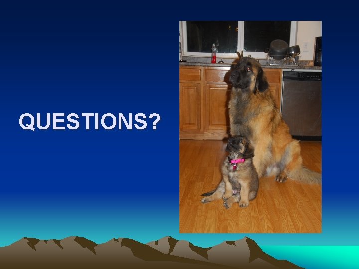 QUESTIONS? QUESTIONS?