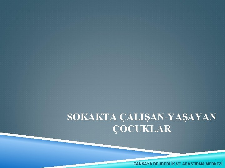 SOKAKTA ÇALIŞAN-YAŞAYAN ÇOCUKLAR ÇANKAYA REHBERLİK VE ARAŞTIRMA MERKEZİ 