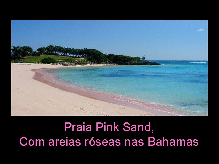 Praia Pink Sand, Com areias róseas nas Bahamas 