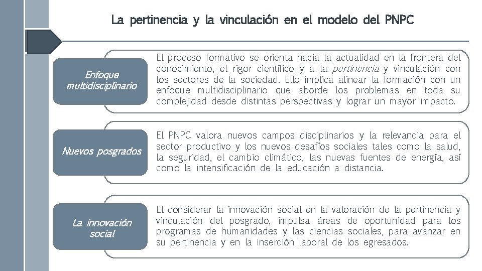 La pertinencia y la vinculación en el modelo del PNPC Enfoque multidisciplinario El proceso