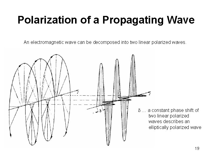 Polarization of a Propagating Wave An electromagnetic wave can be decomposed into two linear