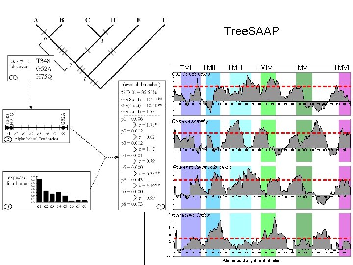 Tree. SAAP 6 TMIII Coil Tendencies TMIV TMVI 4 2 0 10 20 30