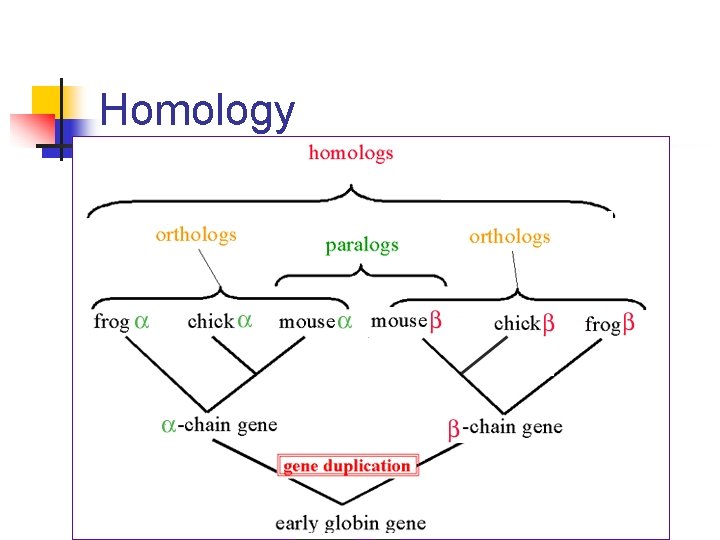 Homology 