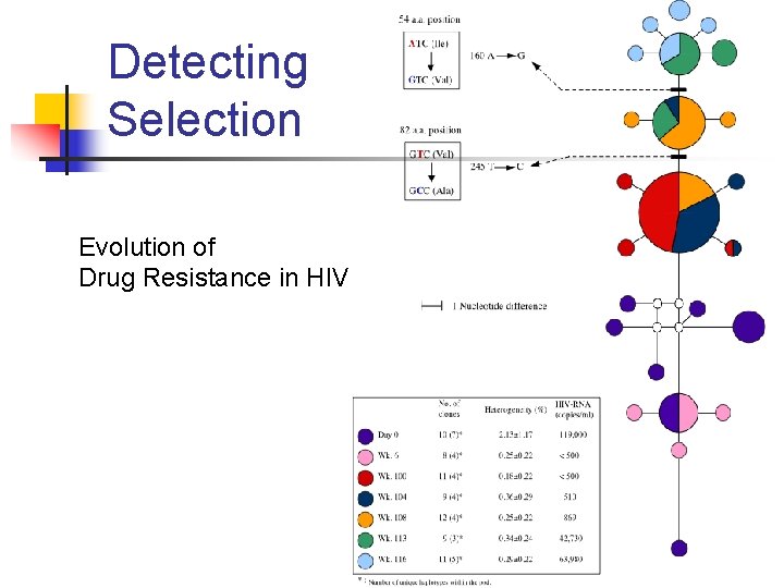 Detecting Selection Evolution of Drug Resistance in HIV 