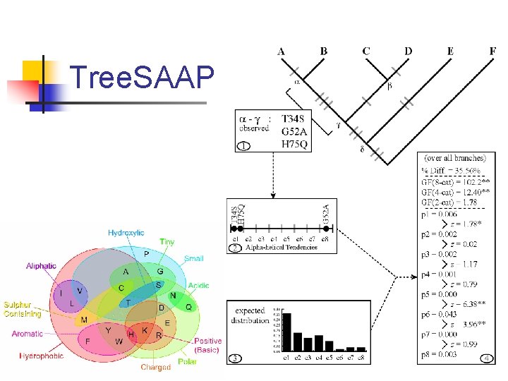 Tree. SAAP 