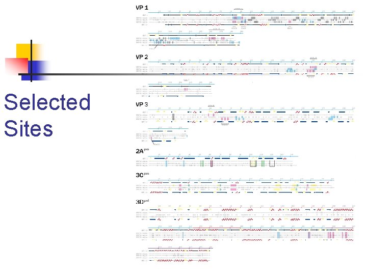 Selected Sites 
