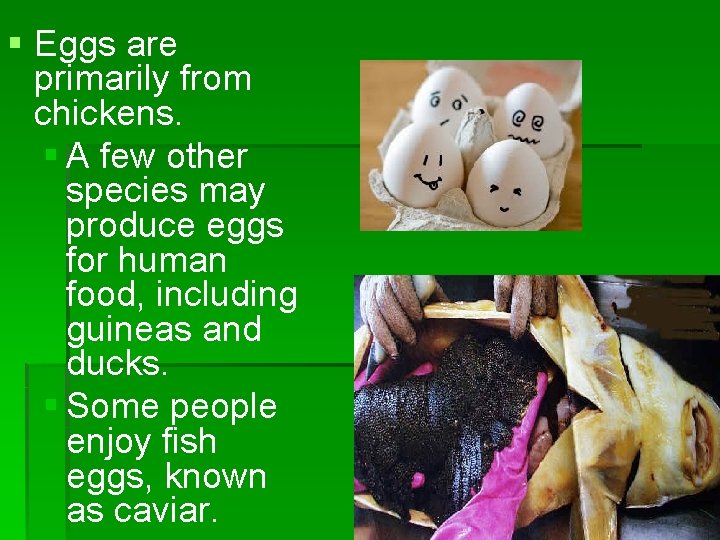 § Eggs are primarily from chickens. § A few other species may produce eggs