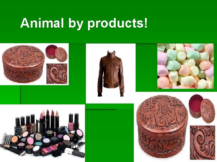 Animal by products! 