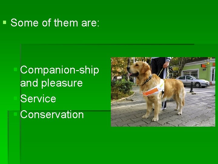 § Some of them are: § Companion-ship and pleasure § Service § Conservation 