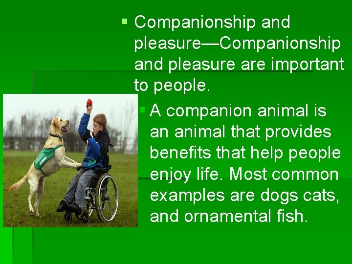 § Companionship and pleasure—Companionship and pleasure are important to people. § A companion animal