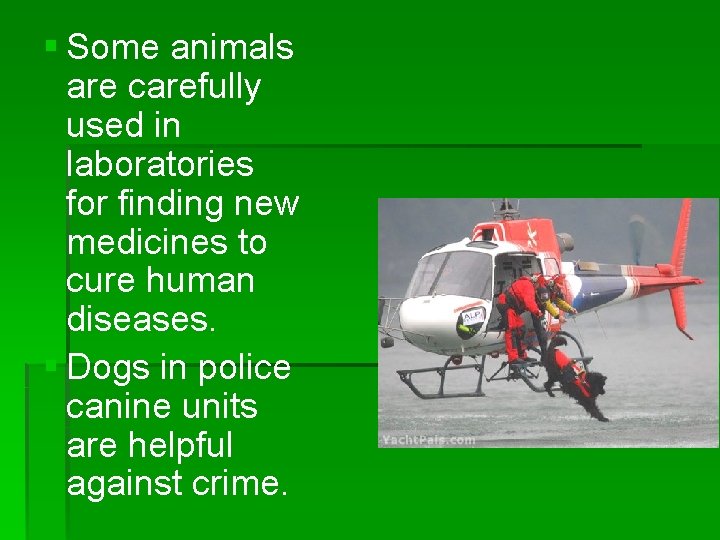 § Some animals are carefully used in laboratories for finding new medicines to cure