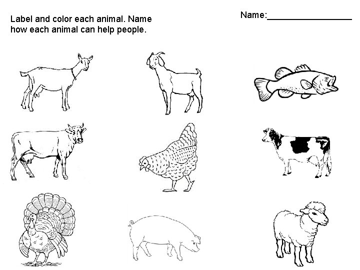Label and color each animal. Name how each animal can help people. Name: _________