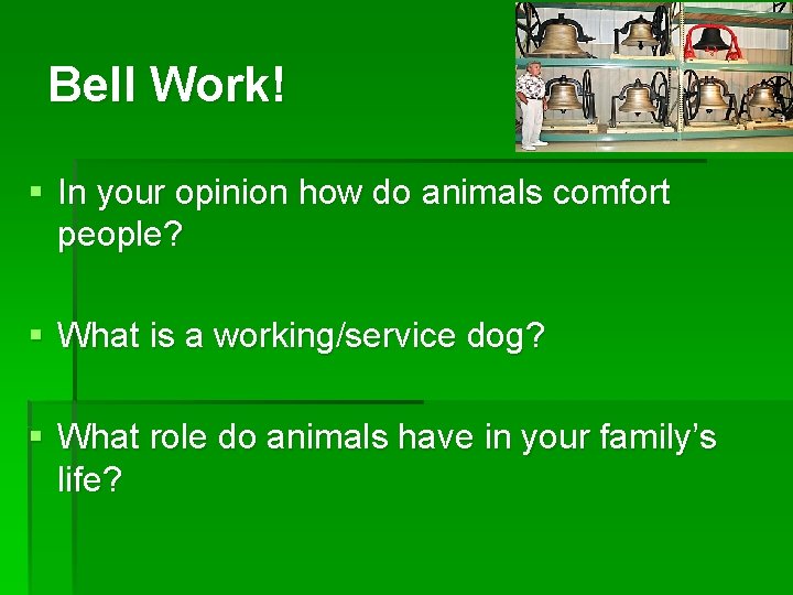 Bell Work! § In your opinion how do animals comfort people? § What is