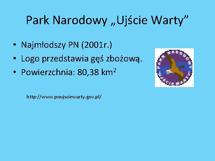 Park Narodowy „Ujście Warty” • Najmłodszy PN (2001 r. ) • Logo przedstawia gęś