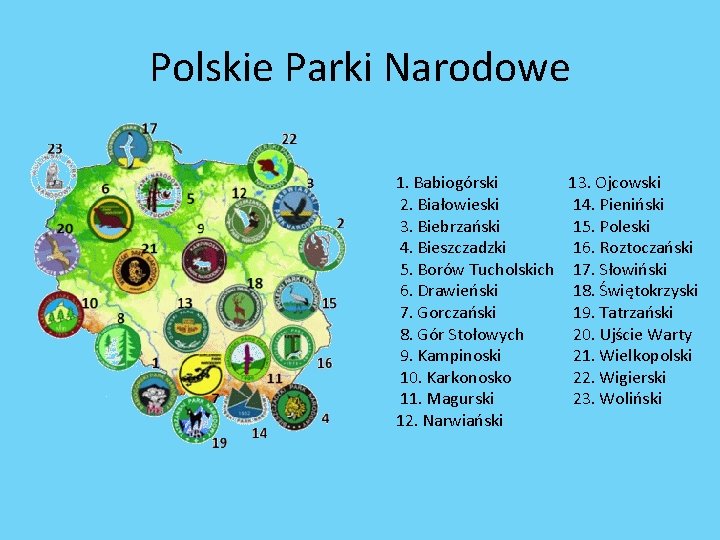 Polskie Parki Narodowe 1. Babiogórski 13. Ojcowski 2. Białowieski 14. Pieniński 3. Biebrzański 15.