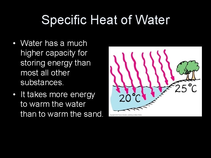 Specific Heat of Water • Water has a much higher capacity for storing energy