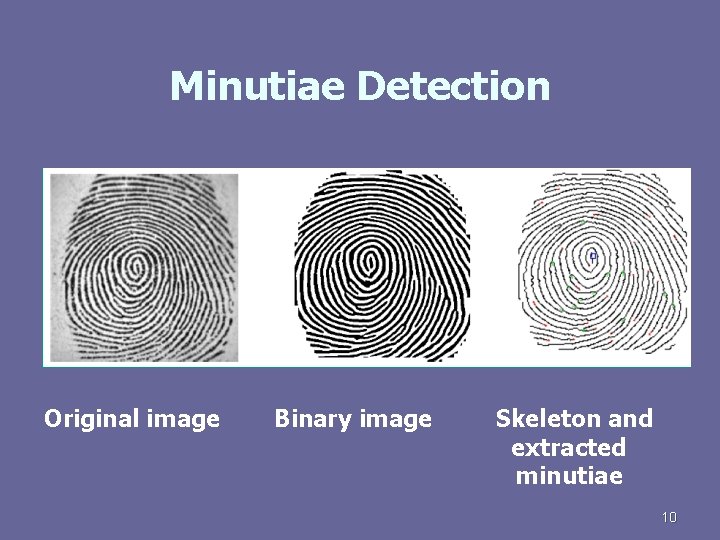 Minutiae Detection Original image Binary image Skeleton and extracted minutiae 10 