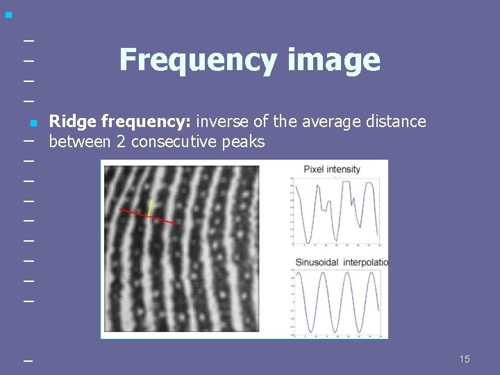 n _ _ Frequency image Ridge frequency: inverse of the average distance _ between