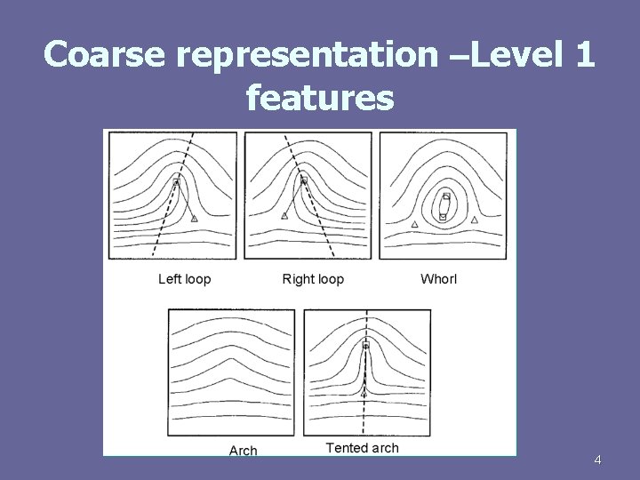 Coarse representation –Level 1 features 4 