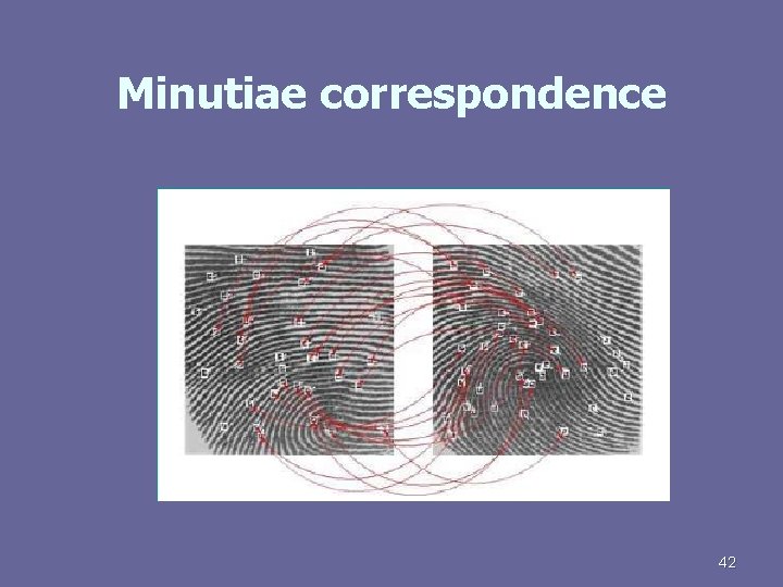 Minutiae correspondence 42 