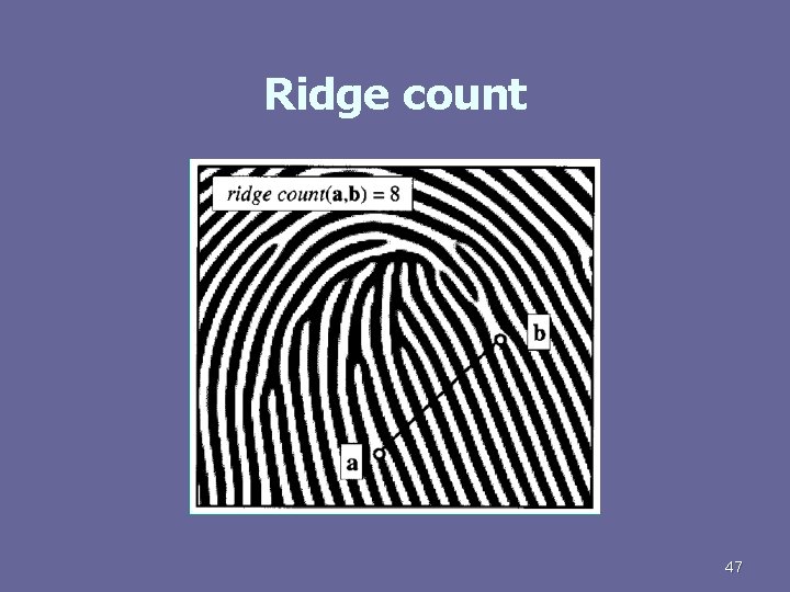 Ridge count 47 