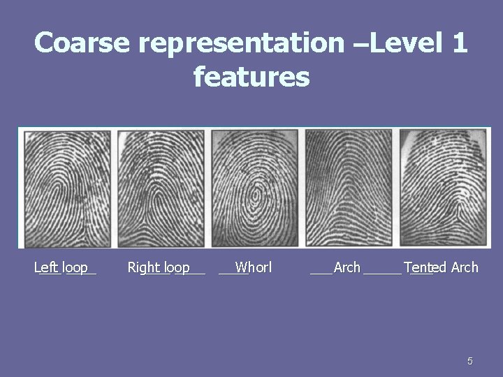 Coarse representation –Level 1 features Left ___ loop ____ Right ____loop ____ Whorl ___