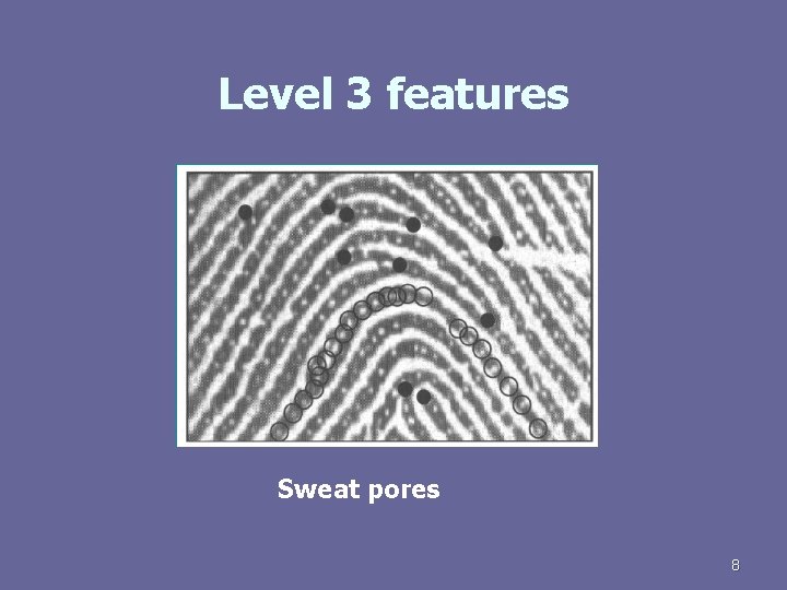 Level 3 features Sweat pores 8 