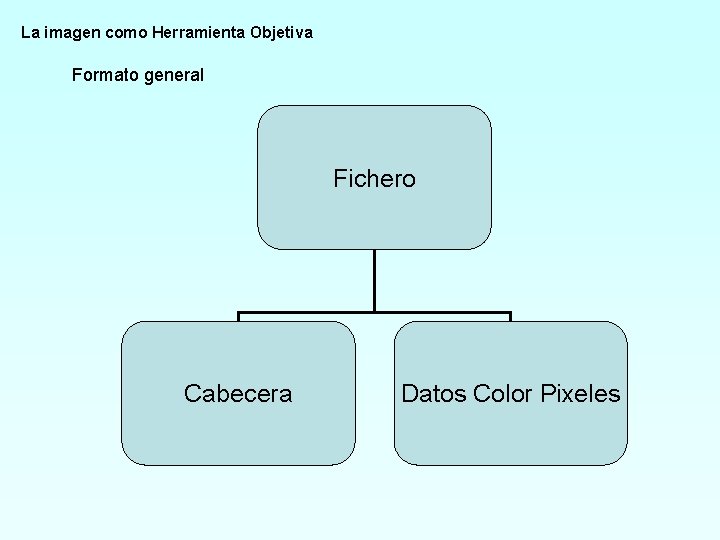 La imagen como Herramienta Objetiva Formato general Fichero Cabecera Datos Color Pixeles 