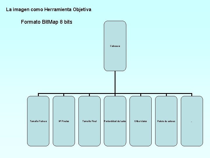 La imagen como Herramienta Objetiva Formato Bit. Map 8 bits Cabecera Tamaño Fichero Nº