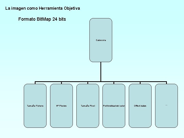 La imagen como Herramienta Objetiva Formato Bit. Map 24 bits Cabecera Tamaño Fichero Nº