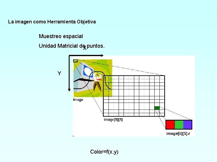 La imagen como Herramienta Objetiva Muestreo espacial Unidad Matricial de. Xpuntos. Y Color=f(x, y)