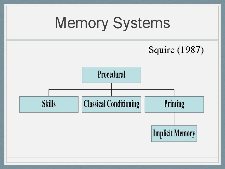 Memory Systems Squire (1987) 