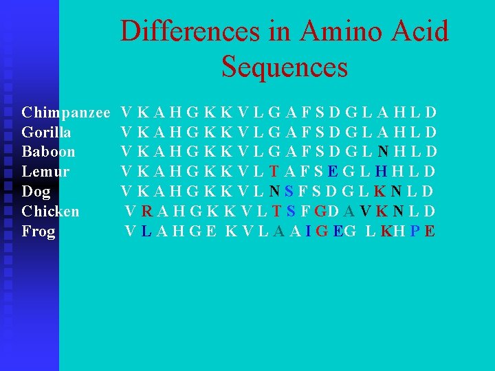 Differences in Amino Acid Sequences Chimpanzee Gorilla Baboon Lemur Dog Chicken Frog VKAHGKKVLGAFSDGLAHLD VKAHGKKVLGAFSDGLNHLD