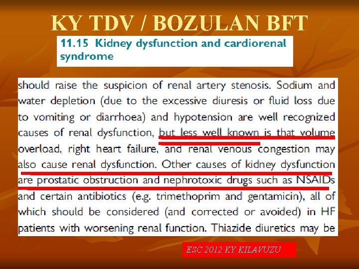 KY TDV / BOZULAN BFT ESC 2012 KY KILAVUZU 